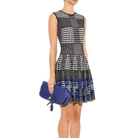 NWT Alexander McQueen Printed Mini Dress